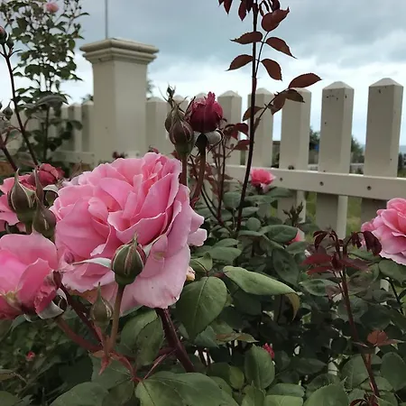 Livia Boutique 公寓式酒店