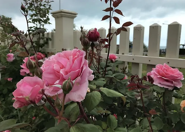 Livia Boutique Aparthotel